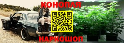 прущий лед Славгород